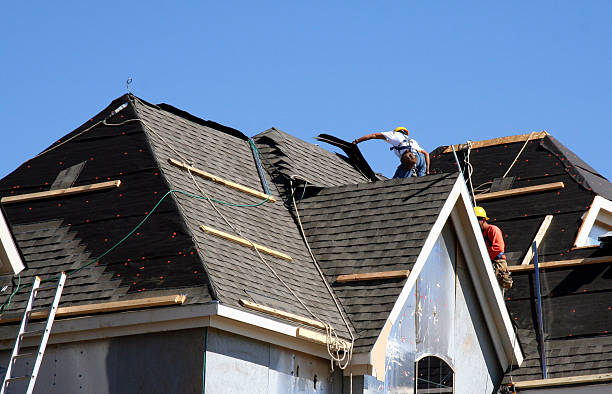 Best Metal Roofing Contractor  in Collinsville, VA
