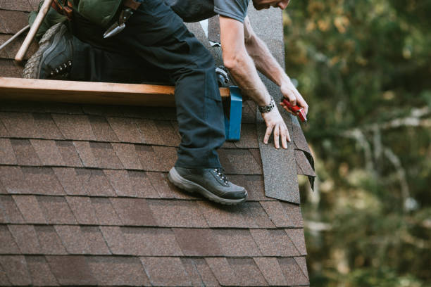 Best Roof Repair Services  in Collinsville, VA